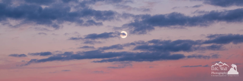 moonrise in pink sky