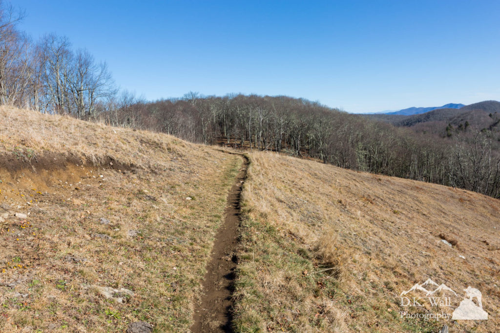 An empty trail beckons winter hiking.