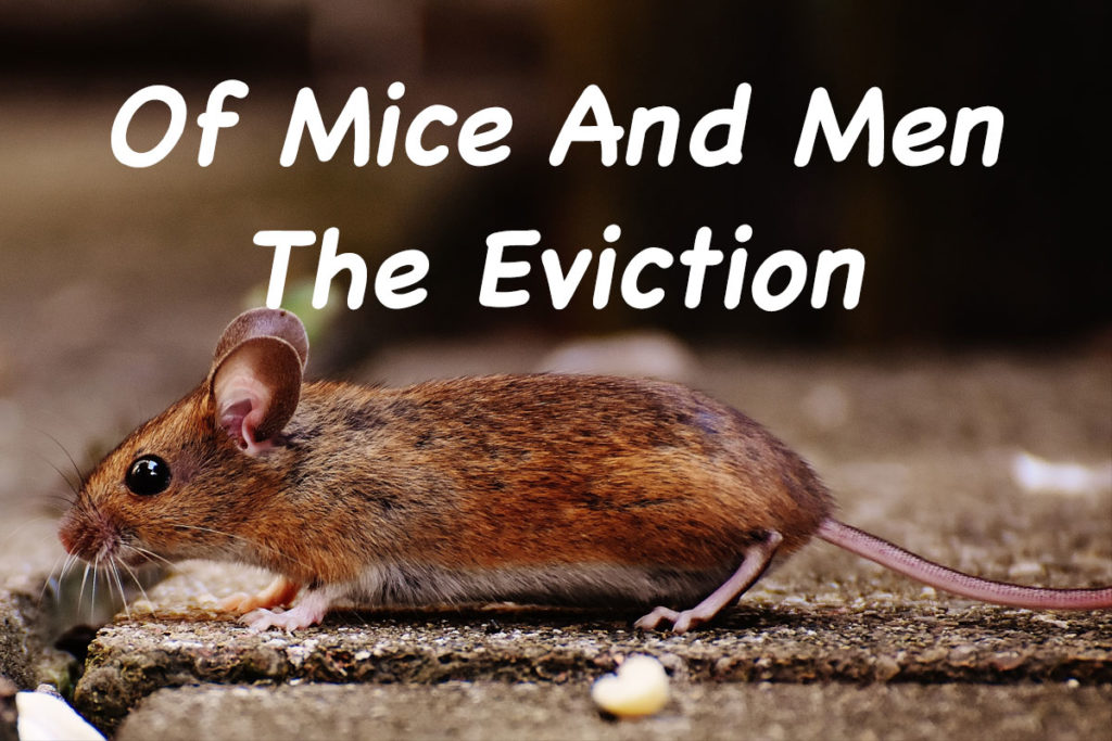 Of Mice and Men - The Eviction