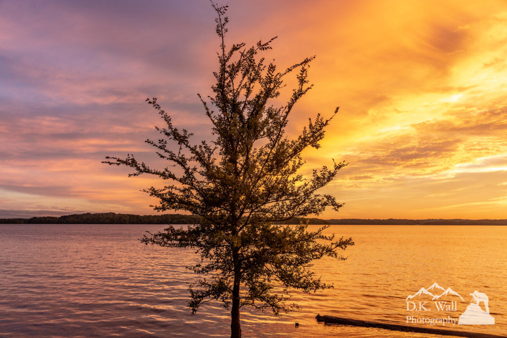 Percy Priest Lake Sunset - Young Tree | September 27 2018