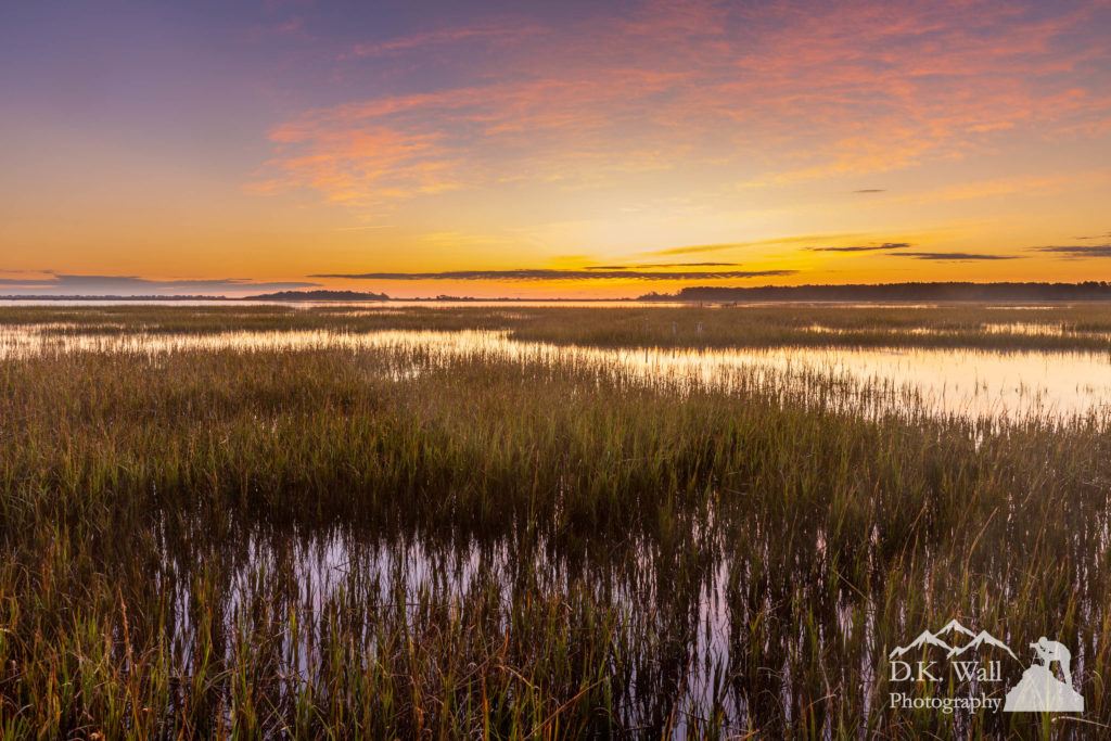 A gorgeous sunrise in the salt marsh.