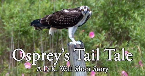 Osprey's Tail Tale