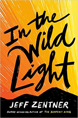 Jeff Zentner In The Wild Light