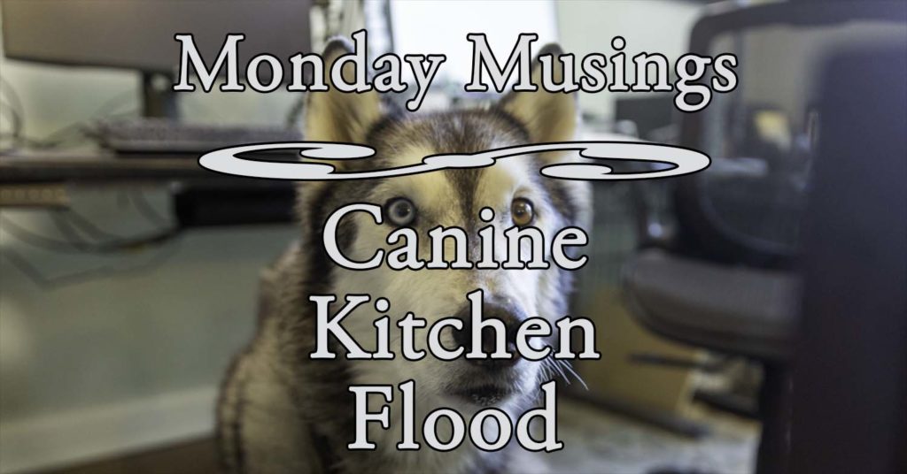 Canine Kitchen Flood