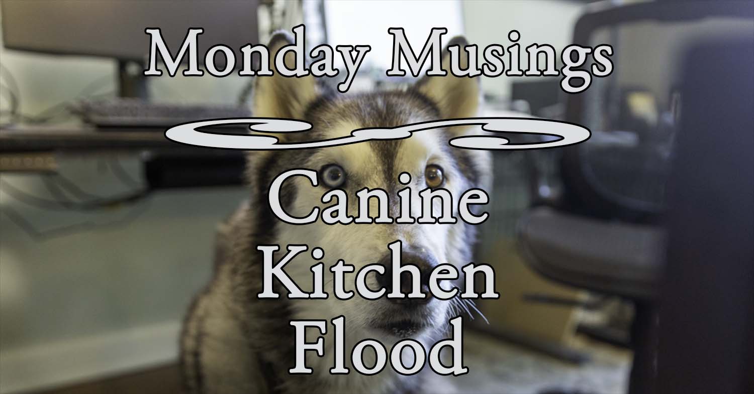 canine-kitchen-flood-d-k-wall