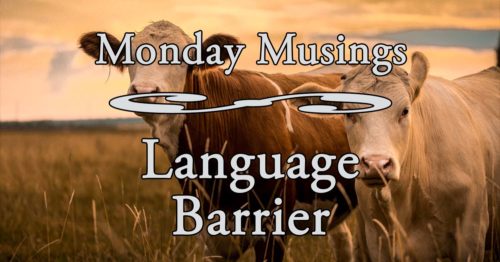 Language Barrier - Monday Musing Title Card