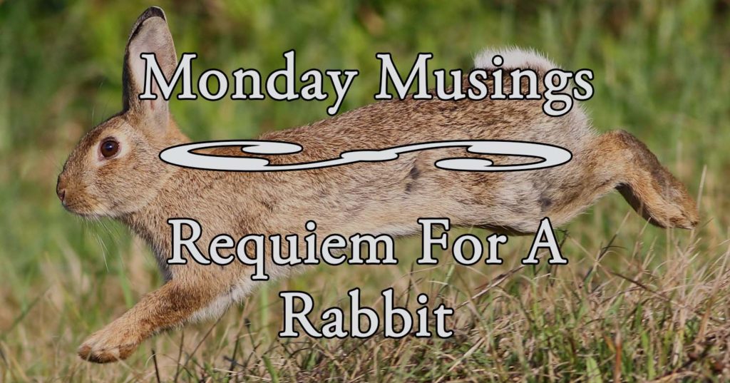 Requiem for a rabbit